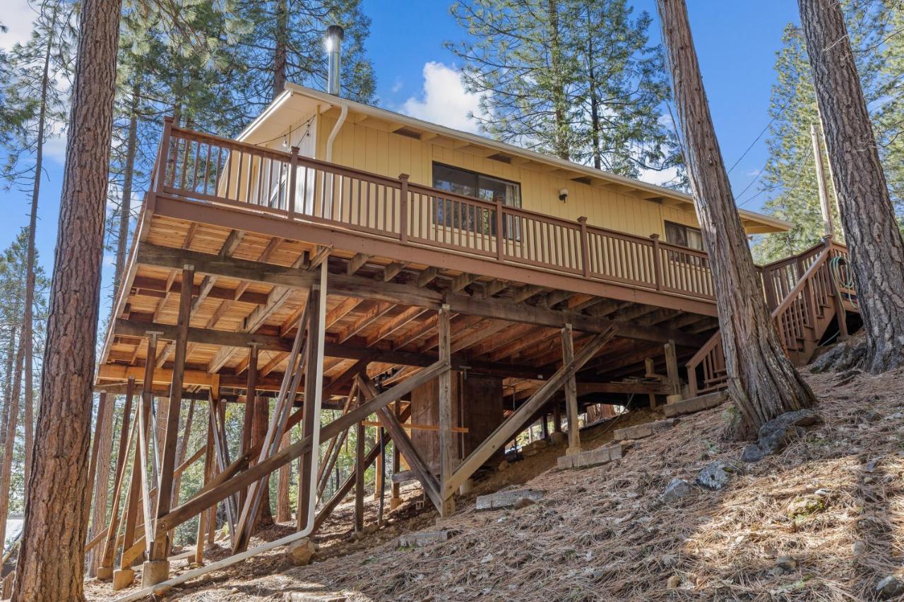 Big Trees, Little Cabin Arnold Bagian luar foto